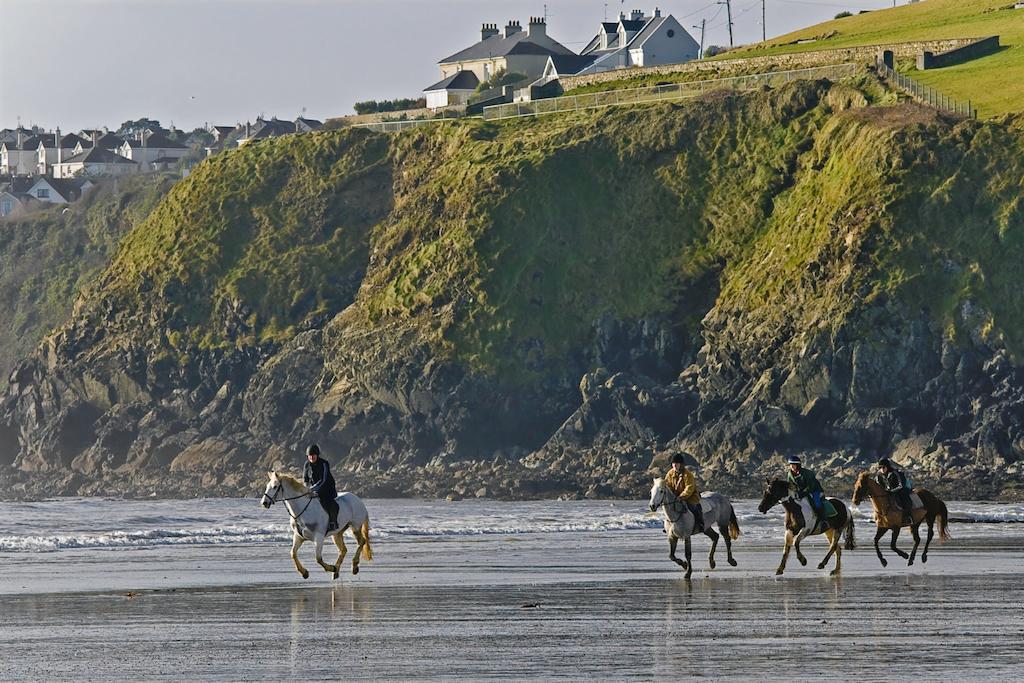 Beach Haven Holiday Hostel Tramore Eksteriør billede