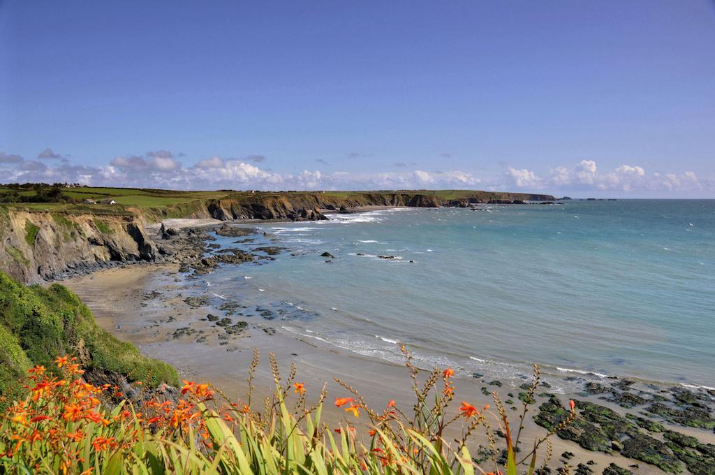 Beach Haven Holiday Hostel Tramore Eksteriør billede